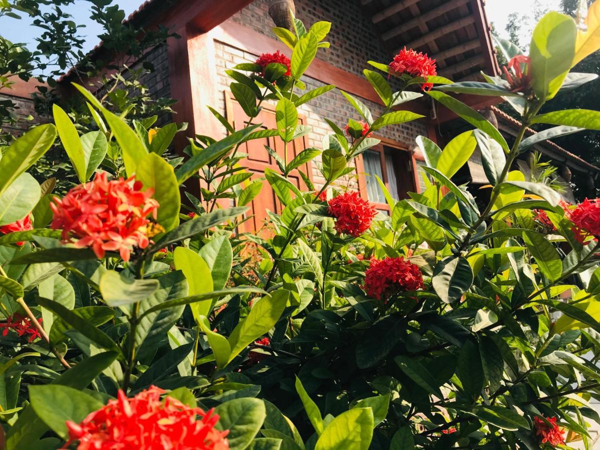 Tam Coc Friendly Homestay ニンビン エクステリア 写真