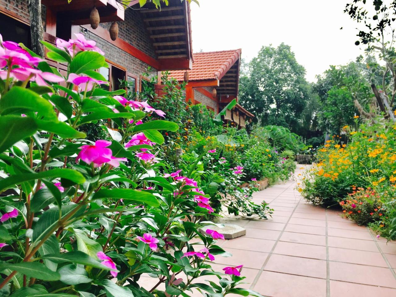 Tam Coc Friendly Homestay ニンビン エクステリア 写真
