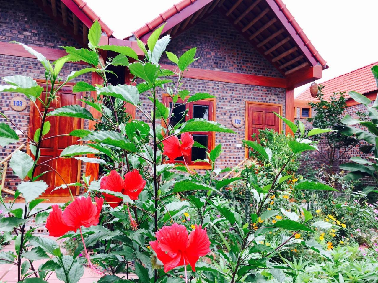 Tam Coc Friendly Homestay ニンビン エクステリア 写真