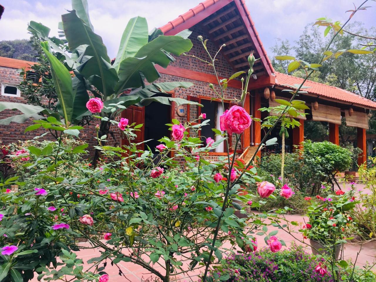 Tam Coc Friendly Homestay ニンビン エクステリア 写真